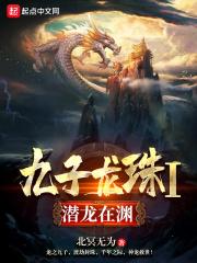 九龙珠05集