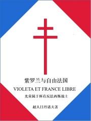 法国紫罗兰花海