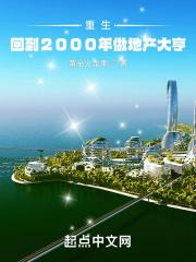 重生回到2000年发家致富