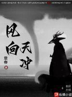 风向向南是什么风
