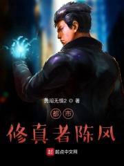 都市修真阵飞