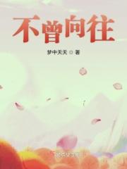 不曾向往是什么意思