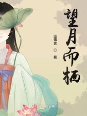 望月兴叹是什么意思