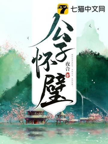 公子怀璧TXT