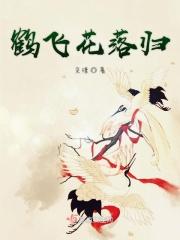 鹤舞飞卿