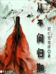 从不问归期就像风走了千万里歌曲