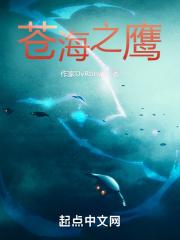 苍穹之鹰多少钱