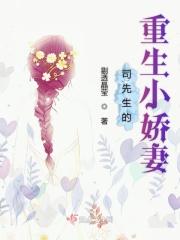 司先生宠妻百分百结局