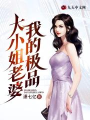 我的极品大小姐 主角