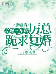 离婚冷妻总裁追妻路免费无弹窗