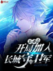王者荣耀之开局加入长城守卫军飞卢