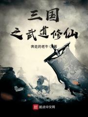 三国之武道皇子
