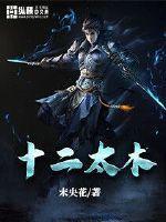 十二太保什么意思