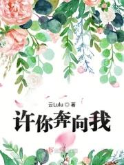 许我奔向你txt
