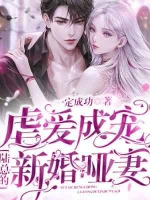 陆竟池江澜结局是什么