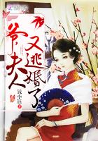 夫人又逃走了