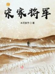 宋家军是谁