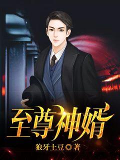 至尊神婿完整版免费阅读