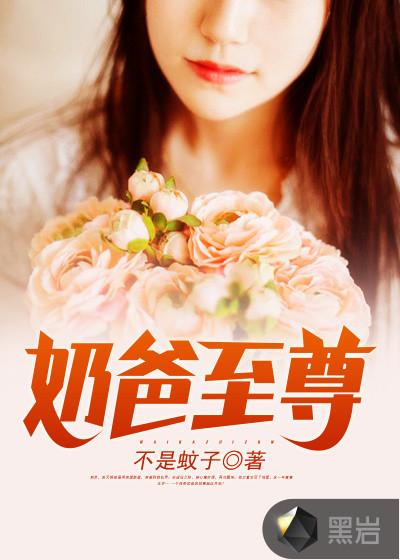 奶爸至尊番外