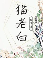 老白日记论