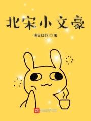 北宋小文豪 女主几个
