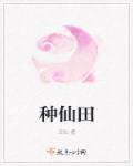 万古最强赘婿无弹窗