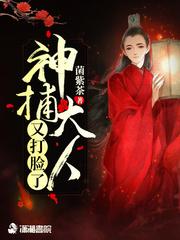 皇牌机甲演员表