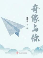 奇缘是什么电视剧