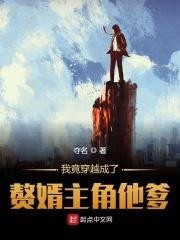 我穿成了赘婿文中的大反派笔趣阁