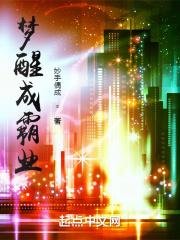 梦醒夜续是什么意思?