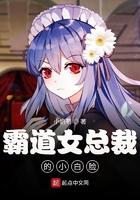 霸道女总裁的小娇夫[娱乐圈