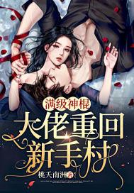 满级大佬到新手村的