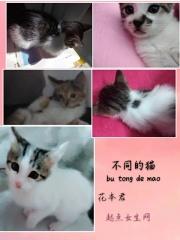 不同的猫有生殖隔离吗