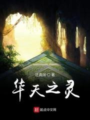 天之灵是什么意思?