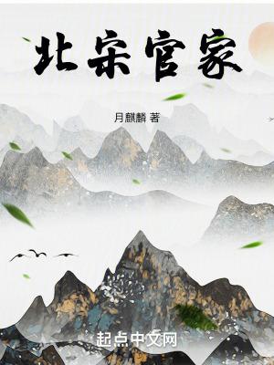 宋朝的官家