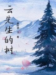 云先生故事梗概
