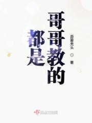 都是哥哥惹的祸作文500字