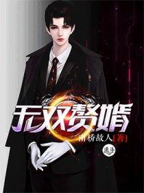 无双赘婿简介