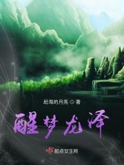 醒梦陈龙
