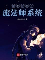 哈利波特法师级别