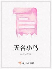 无名鸟讲的是什么
