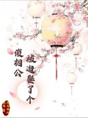 被迫嫁给傻子黛雪