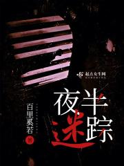 夜半忽迷路东西未可知急随老马去方可脱忧危