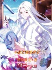 斗破之我是药枫