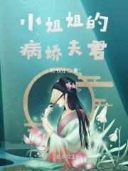 病娇小姐忠犬副官