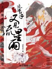 又见流星雨演员表