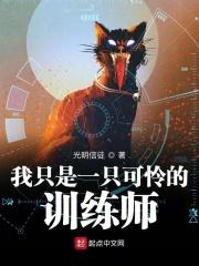 我只是一只可怜的训练师英文