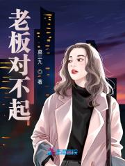电视剧对不起老板
