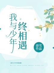 我与少年终相遇的作文