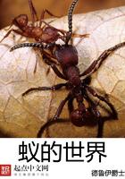 蚂蚁的世界观视频